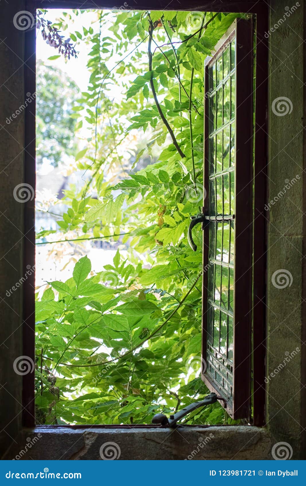 Post Image