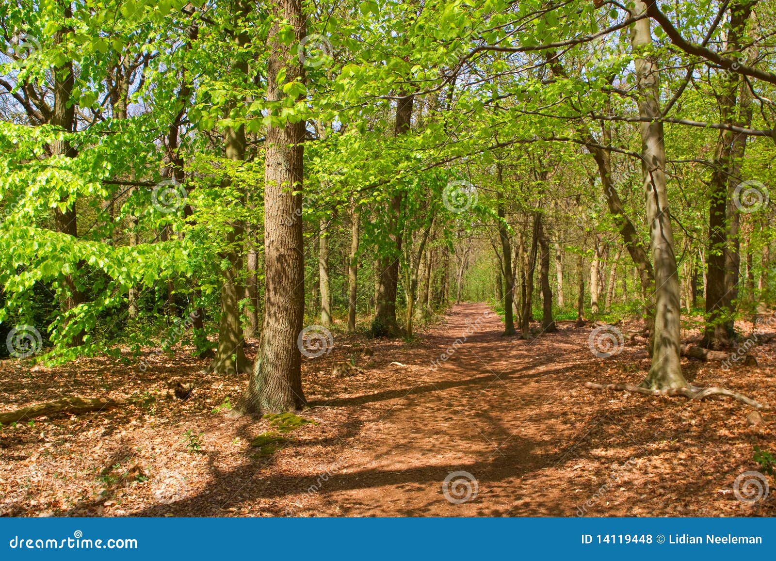 Post Image