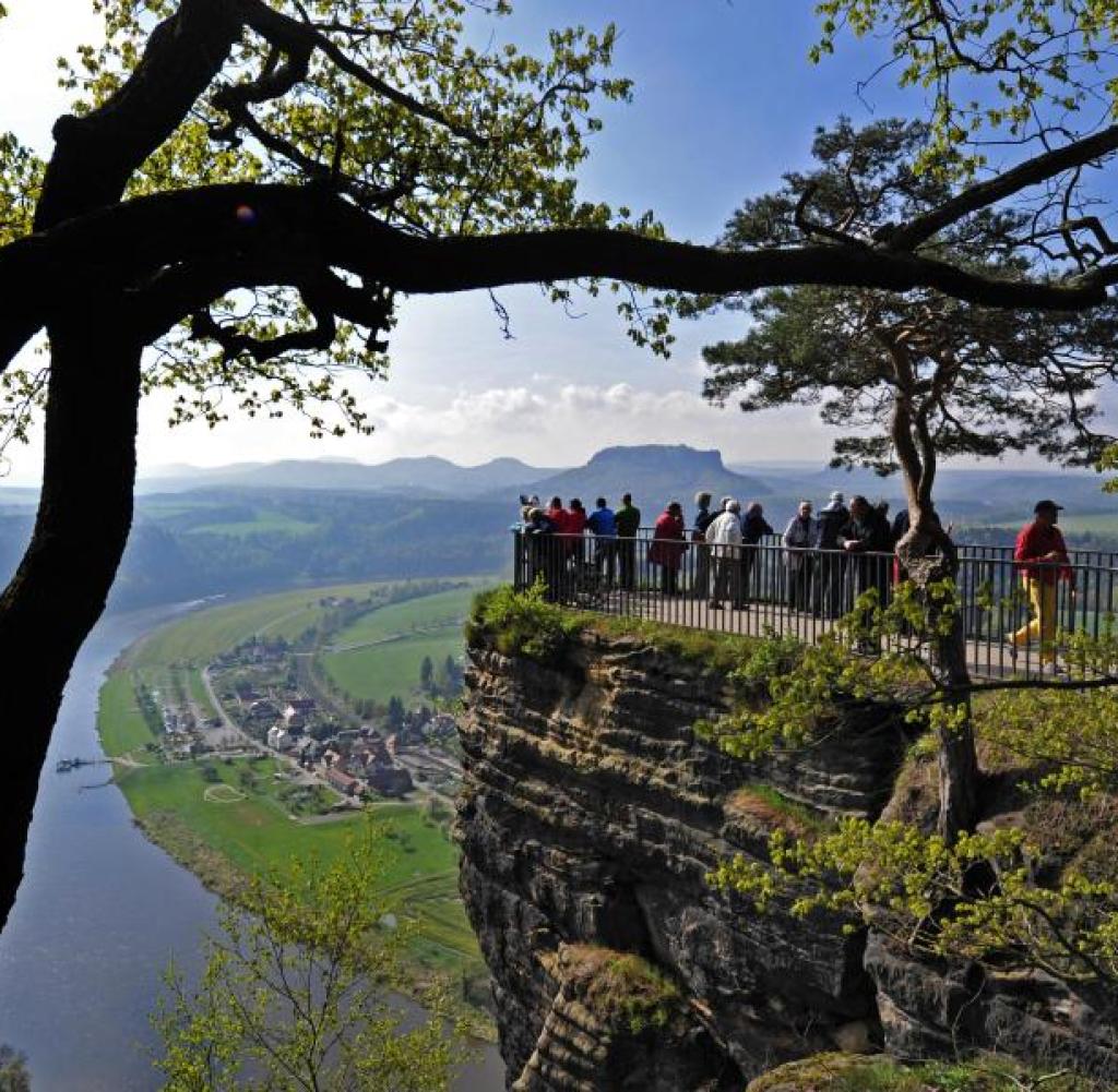 000 Bäume: Großes Naturschutzprojekt Im Nationalpark Sächsische Schweiz 000 Bäume: Großes Naturschutzprojekt Im Nationalpark Sächsische Schweiz