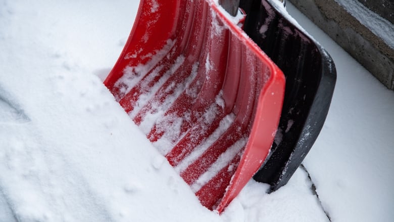 10-20 Cm Of Snow Expected In Western Manitoba: Snowfall Warning In Effect 10-20 Cm Of Snow Expected In Western Manitoba: Snowfall Warning In Effect
