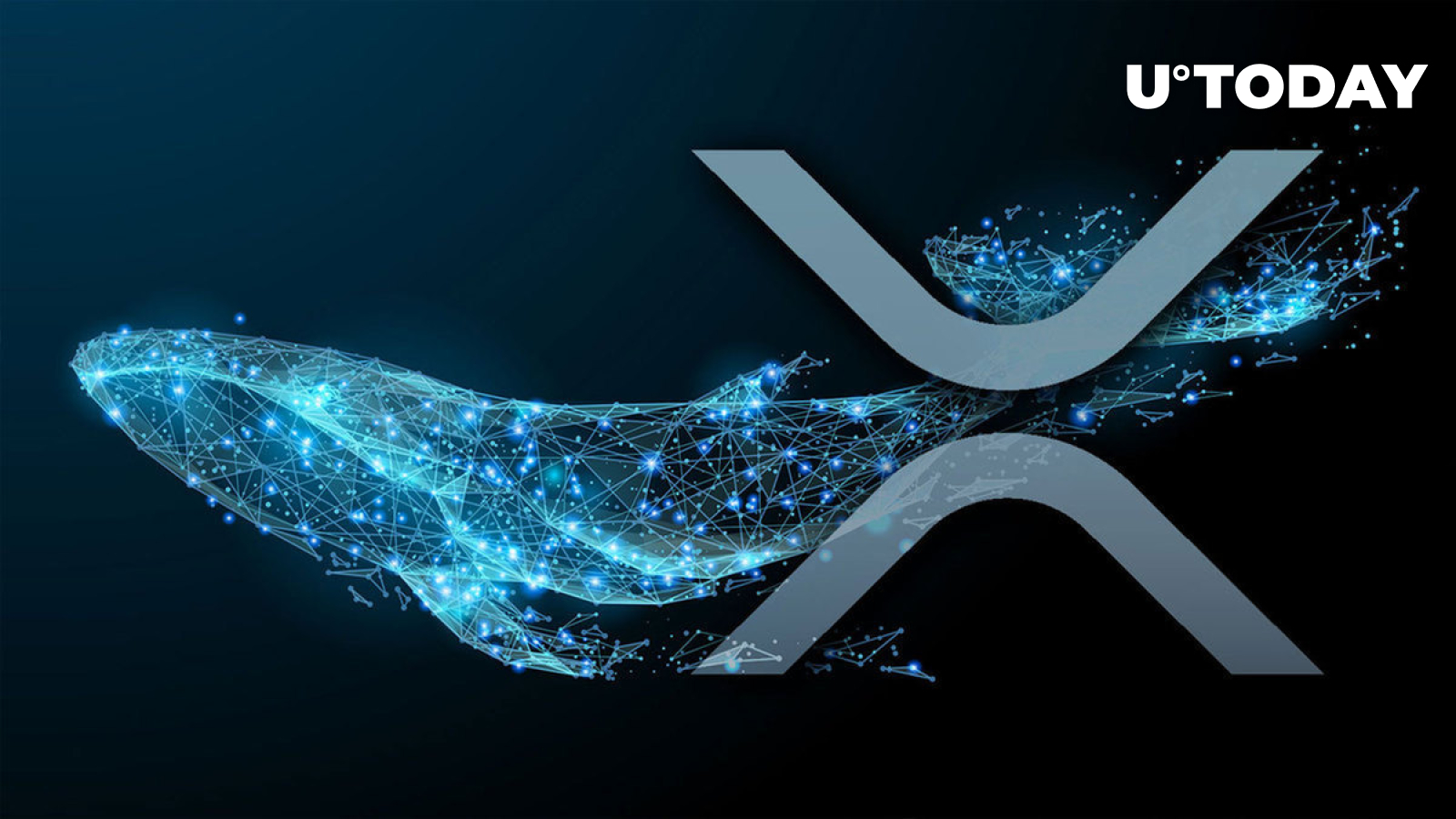 20 Million XRP Bought: Whale Activity And Its Implications For XRP Price 20 Million XRP Bought: Whale Activity And Its Implications For XRP Price