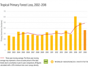 2023 Forest Loss: Wildfires Push Global Deforestation To Record Levels 2023 Forest Loss: Wildfires Push Global Deforestation To Record Levels