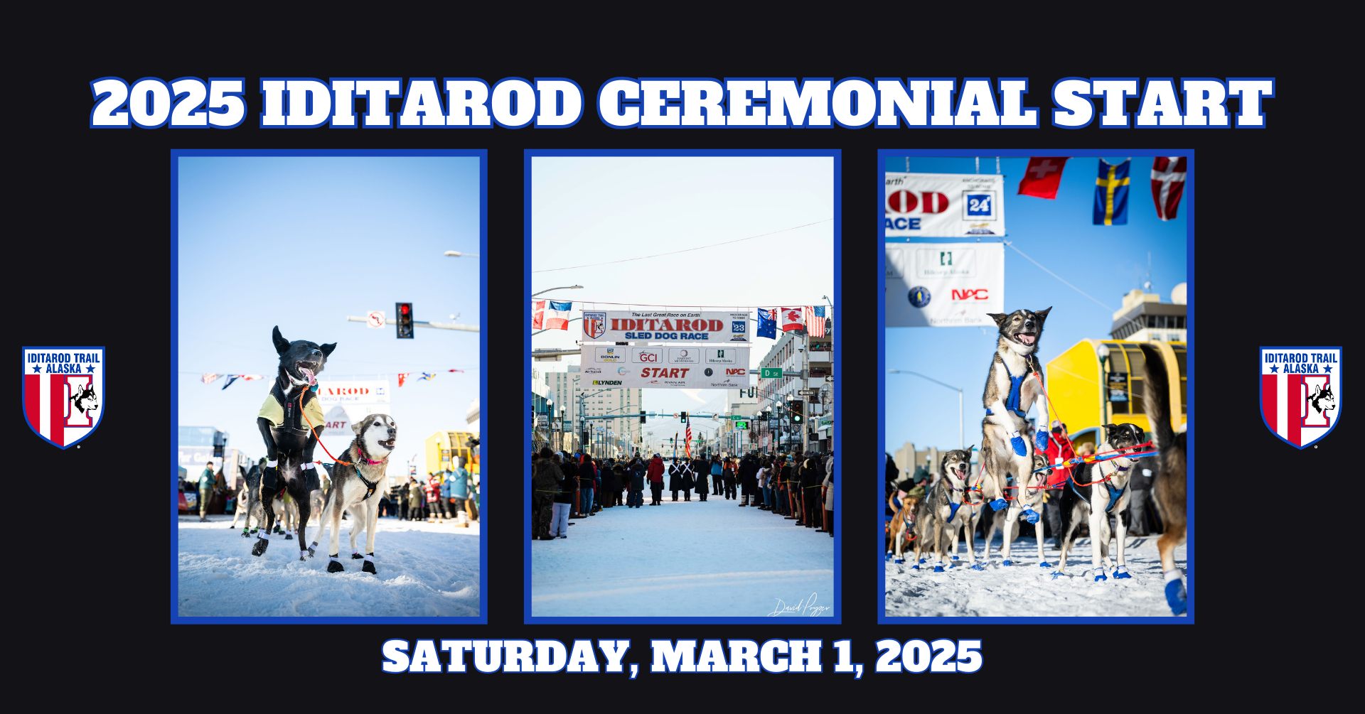 2025 Iditarod Ceremonial Start: A Massive Turnout In Downtown Anchorage 2025 Iditarod Ceremonial Start: A Massive Turnout In Downtown Anchorage