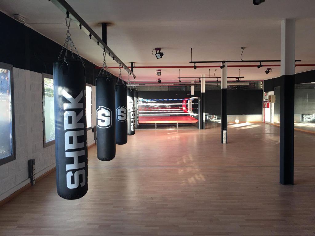 3 Días Para Comenzar: Clases De Boxeo En El Edomex