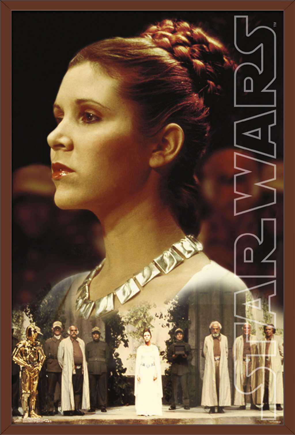 3 Reasons A Princess Leia Cameo In The New Star Wars Show Is Highly Likely 3 Reasons A Princess Leia Cameo In The New Star Wars Show Is Highly Likely