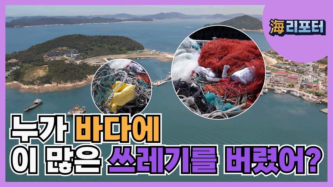 쓰레기 더미 속 해리포터 초판, 3800만원에 팔린 사연 쓰레기 더미 속 해리포터 초판, 3800만원에 팔린 사연