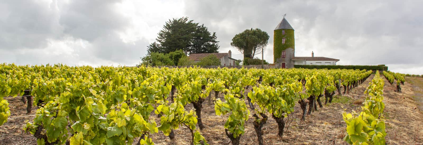 5 Parcours Cyclistes : Loire, Vignoble Nantais Et Estuaire 5 Parcours Cyclistes : Loire, Vignoble Nantais Et Estuaire