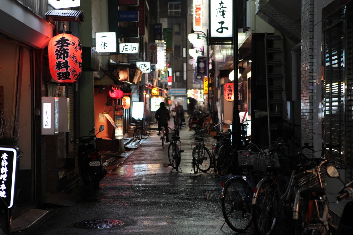 A Beginner's Guide To Japan's Metropolis A Beginner's Guide To Japan's Metropolis