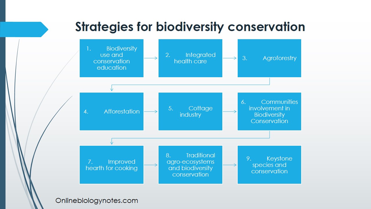 A Turning Point For Otter Management In Wyoming: New Strategies For Conservation A Turning Point For Otter Management In Wyoming: New Strategies For Conservation