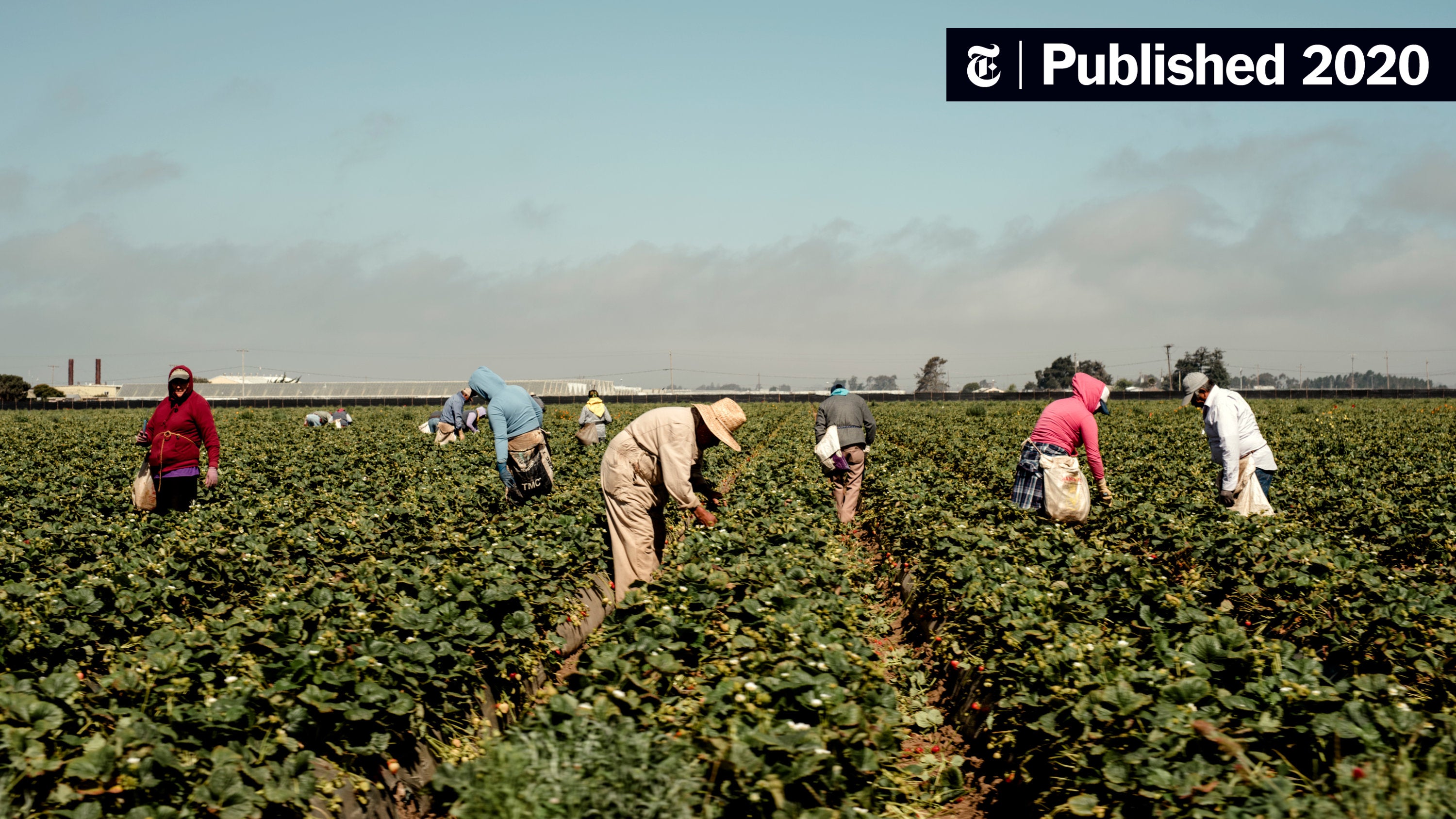 Action Demanded: Parliament Targets Illegal Migrant Workers Action Demanded: Parliament Targets Illegal Migrant Workers