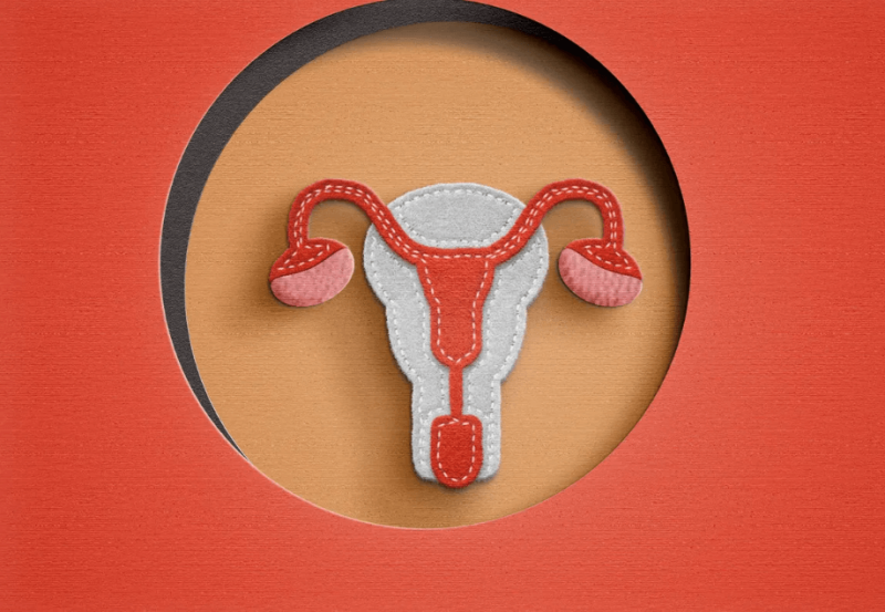 Activist Suggests Uterine Transplants For Transgender Women To Give Birth Activist Suggests Uterine Transplants For Transgender Women To Give Birth