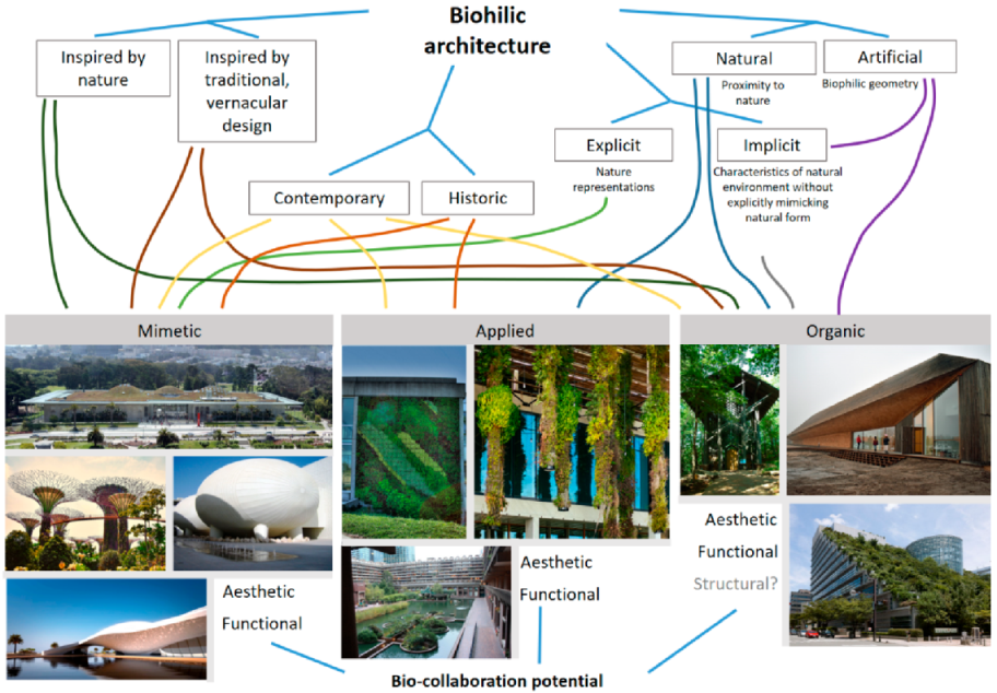 Addressing Colonialism In Mayotte: Towards A More Equitable Future Addressing Colonialism In Mayotte: Towards A More Equitable Future
