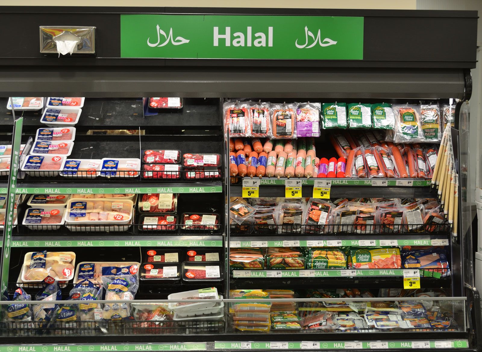Addressing Ethical Concerns: Vegan Views On Halal Meat Practices Addressing Ethical Concerns: Vegan Views On Halal Meat Practices