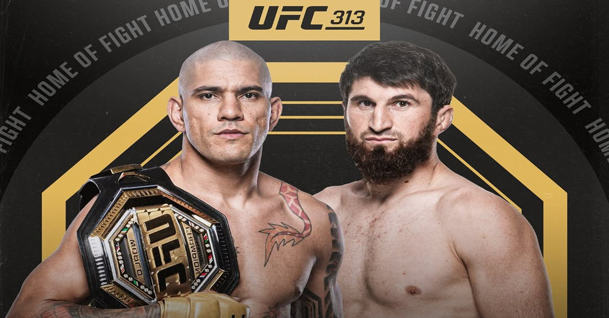 Alex Pereira On UFC 313 Defeat: His Next Move And Career Outlook Alex Pereira On UFC 313 Defeat: His Next Move And Career Outlook