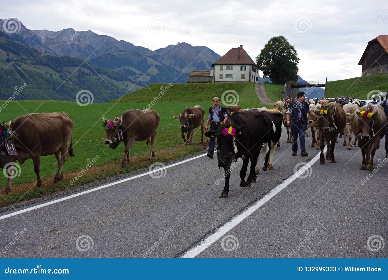 Alpine Village Evacuation: Swiss Farmers Utilize Unique Methods To Save Livestock From Landslide Alpine Village Evacuation: Swiss Farmers Utilize Unique Methods To Save Livestock From Landslide