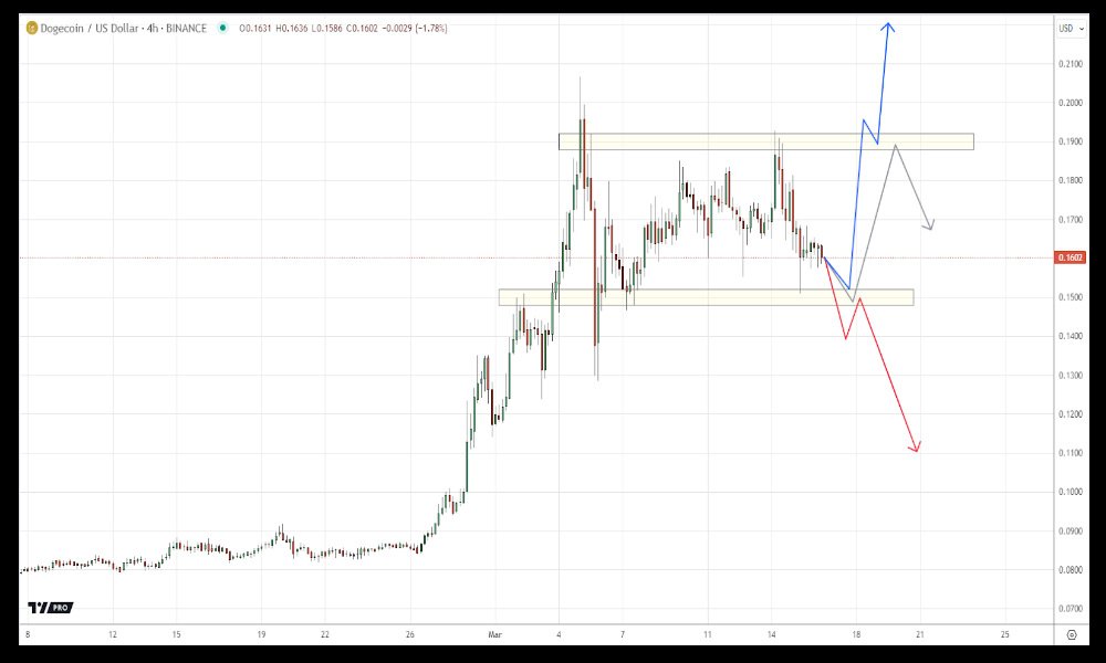 Analyzing Elon Musk's Relationship With Dogecoin Analyzing Elon Musk's Relationship With Dogecoin