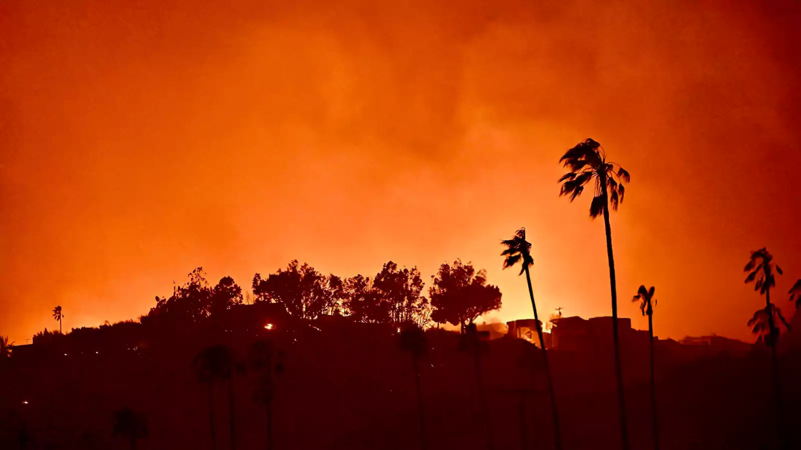 Analyzing The Market: Who Is Betting On The Los Angeles Wildfires? Analyzing The Market: Who Is Betting On The Los Angeles Wildfires?