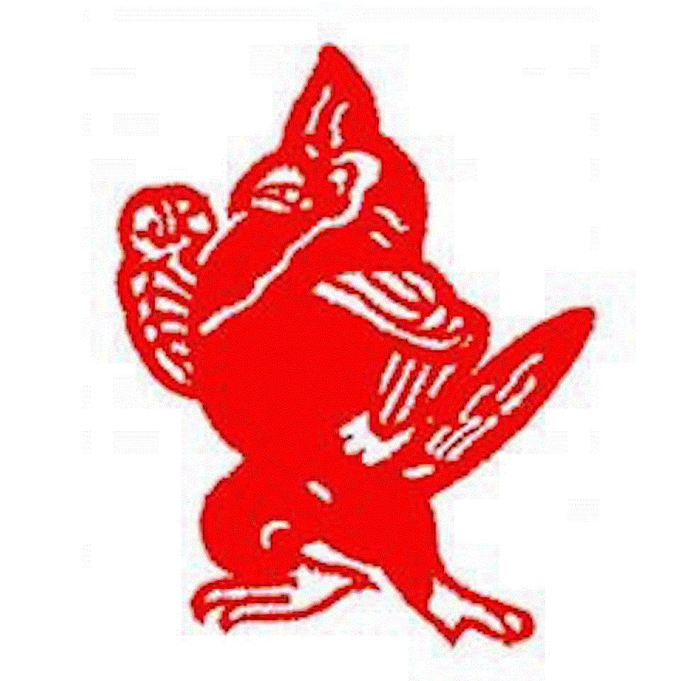 Angels Win Again: Four-Game Winning Streak