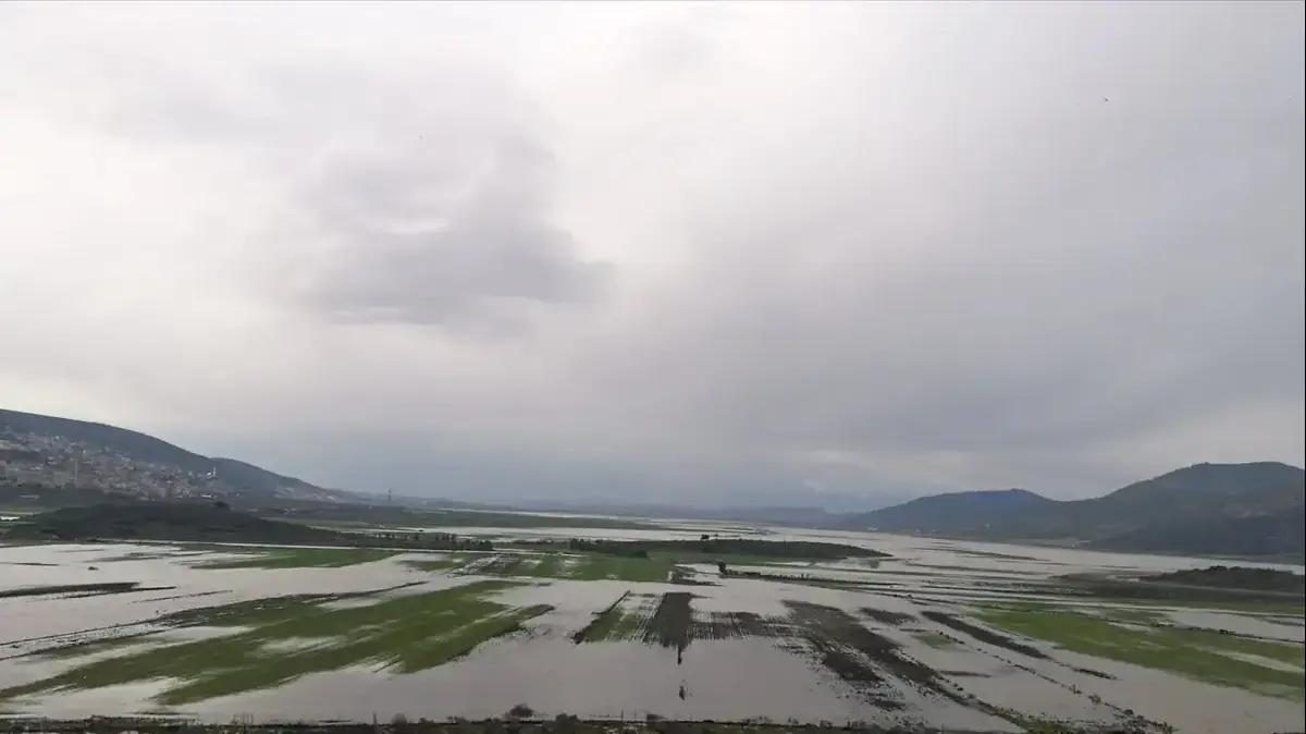 April Rainfall: Is This Month Wetter Than Usual? April Rainfall: Is This Month Wetter Than Usual?