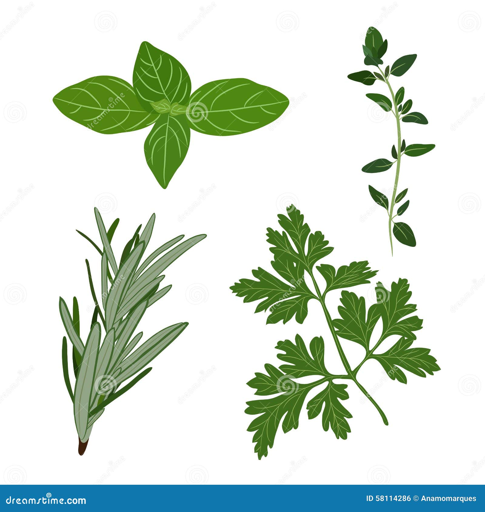 Aromatic Herbs: Rosemary And Thyme For Enhanced Flavor Aromatic Herbs: Rosemary And Thyme For Enhanced Flavor
