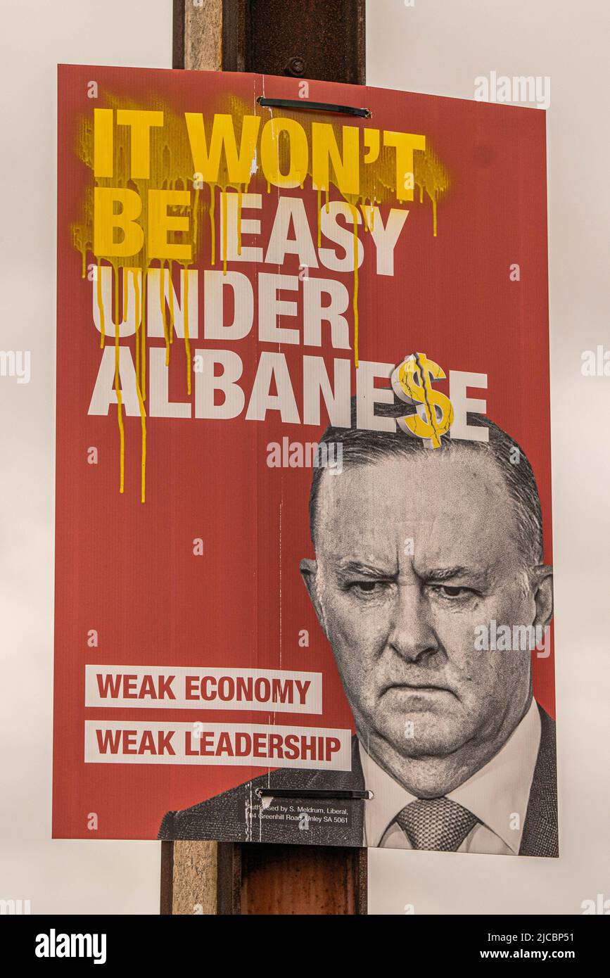 Australian Election 2024: Labor's Albanese In Front As Voting Begins Australian Election 2024: Labor's Albanese In Front As Voting Begins