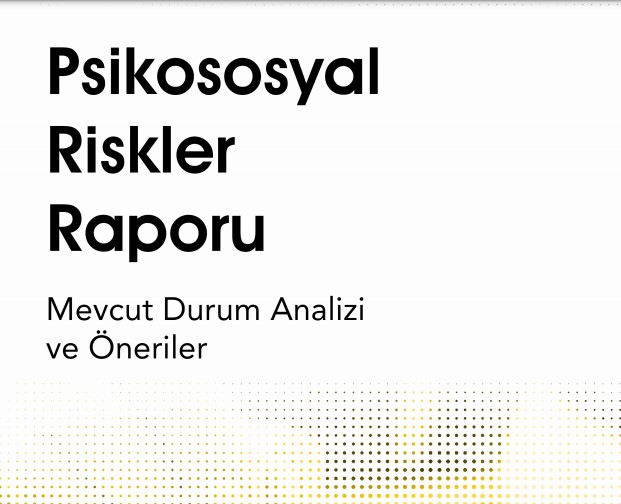 Avrupa İş Birliği: Mevcut Durum, Hedefler Ve Stratejiler Avrupa İş Birliği: Mevcut Durum, Hedefler Ve Stratejiler