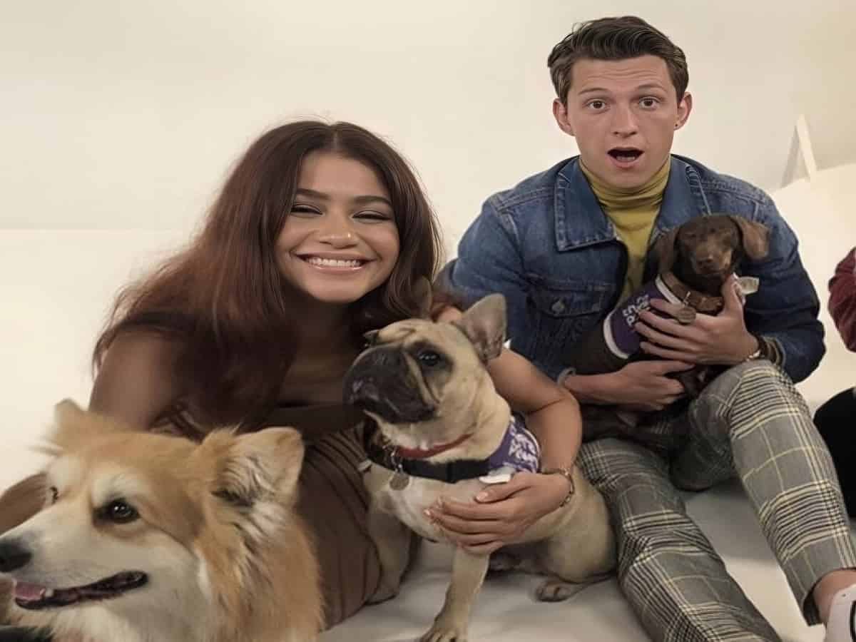 Behind-the-Scenes: Tom Holland's Loving Visit To Zendaya's Euphoria Set (Paws & Love) Behind-the-Scenes: Tom Holland's Loving Visit To Zendaya's Euphoria Set (Paws & Love)