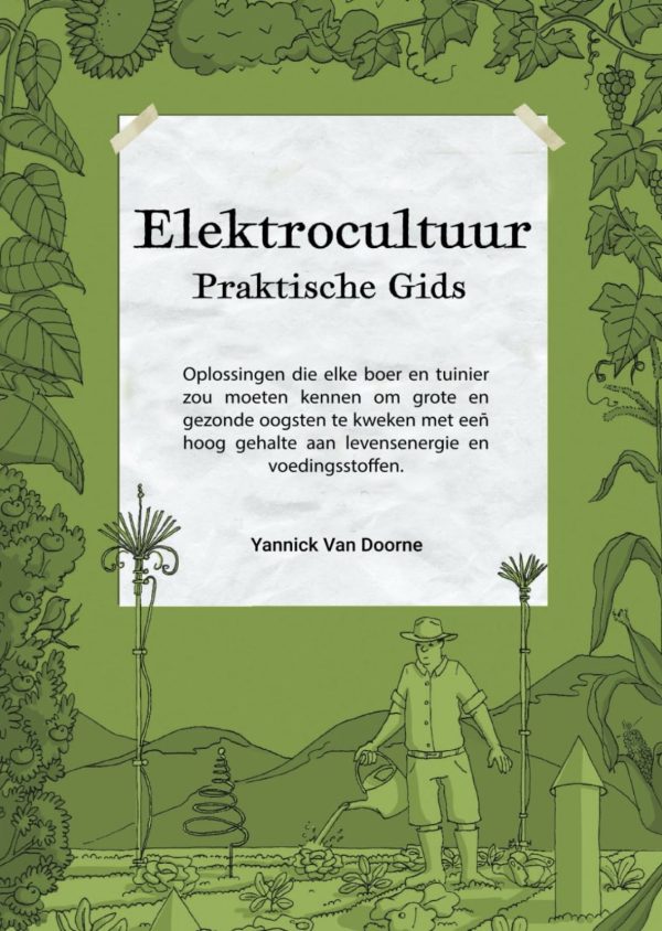 Betalen In Nederland: Een Praktische Gids Met Focus Op Tikkie