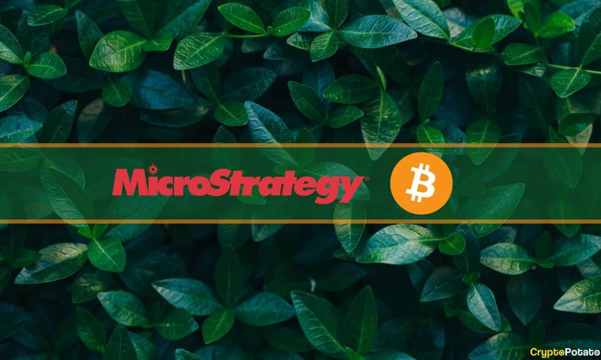 Bitcoin Or MicroStrategy Stock: Investment Analysis For 2025 Bitcoin Or MicroStrategy Stock: Investment Analysis For 2025