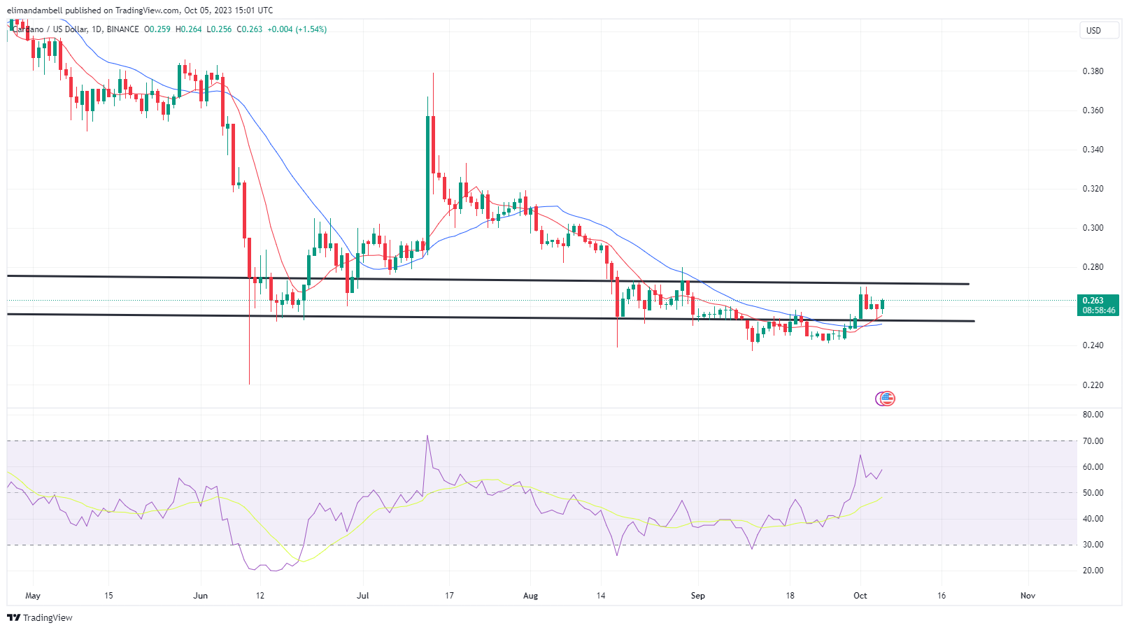 Bitcoin's Recent Rebound: What Investors Need To Know Bitcoin's Recent Rebound: What Investors Need To Know