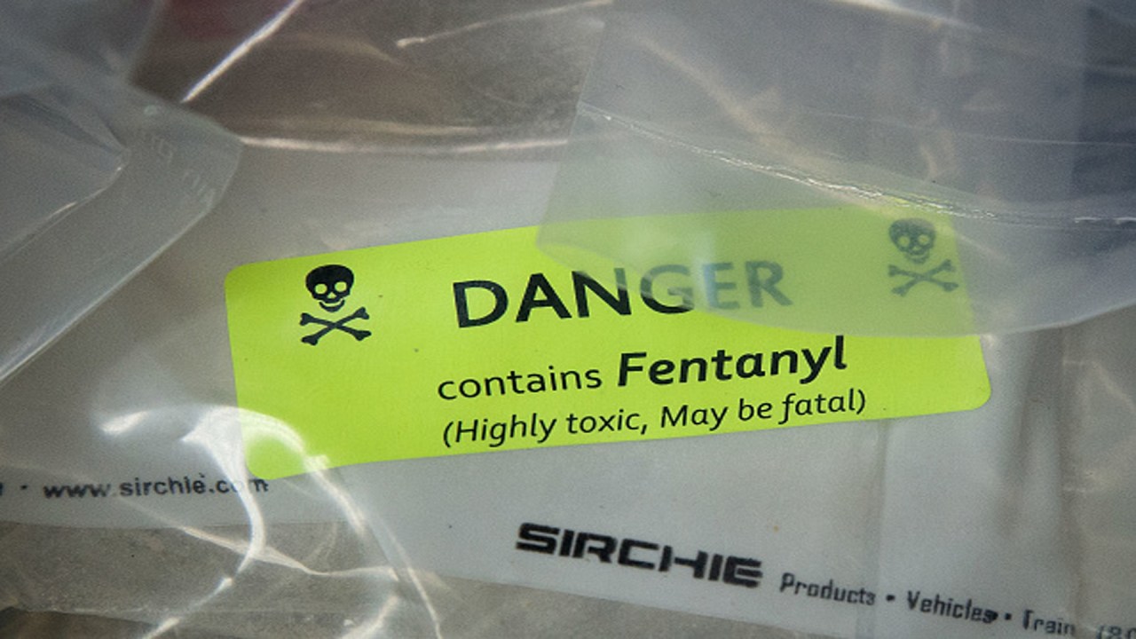 Bondi Announces One Of The Largest Fentanyl Seizures In US History Bondi Announces One Of The Largest Fentanyl Seizures In US History