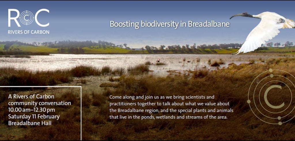 Boosting Biodiversity: Seagrass Restoration Projects In Scotland Boosting Biodiversity: Seagrass Restoration Projects In Scotland