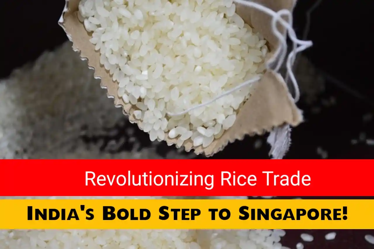 Boosting International Ties: Indonesia Considers Exporting Unique Rice Boosting International Ties: Indonesia Considers Exporting Unique Rice