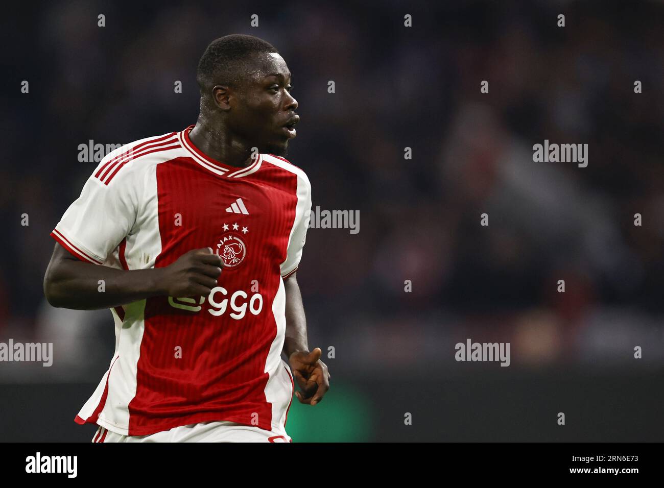 Brian Brobbey: A Physical Force In The Europa League Brian Brobbey: A Physical Force In The Europa League