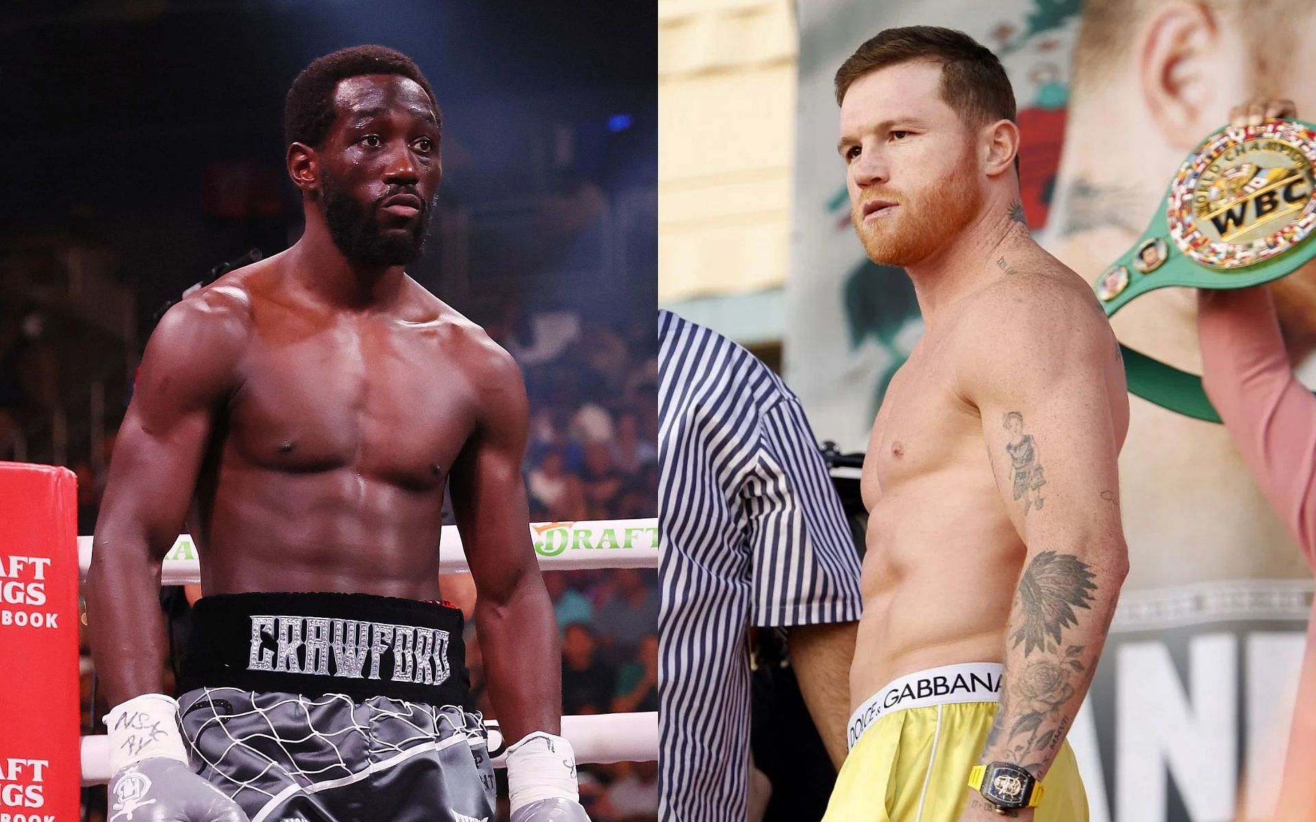 Canelo Alvarez Vs. Terence Crawford: A 12-Year Quest For Evolution Since Mayweather Canelo Alvarez Vs. Terence Crawford: A 12-Year Quest For Evolution Since Mayweather