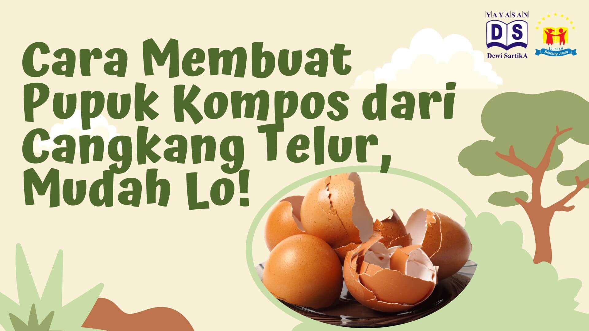 Cangkang Telur: Cara Kreatif Mengolah Limbah Rumah Tangga Menjadi Pupuk Alami Cangkang Telur: Cara Kreatif Mengolah Limbah Rumah Tangga Menjadi Pupuk Alami