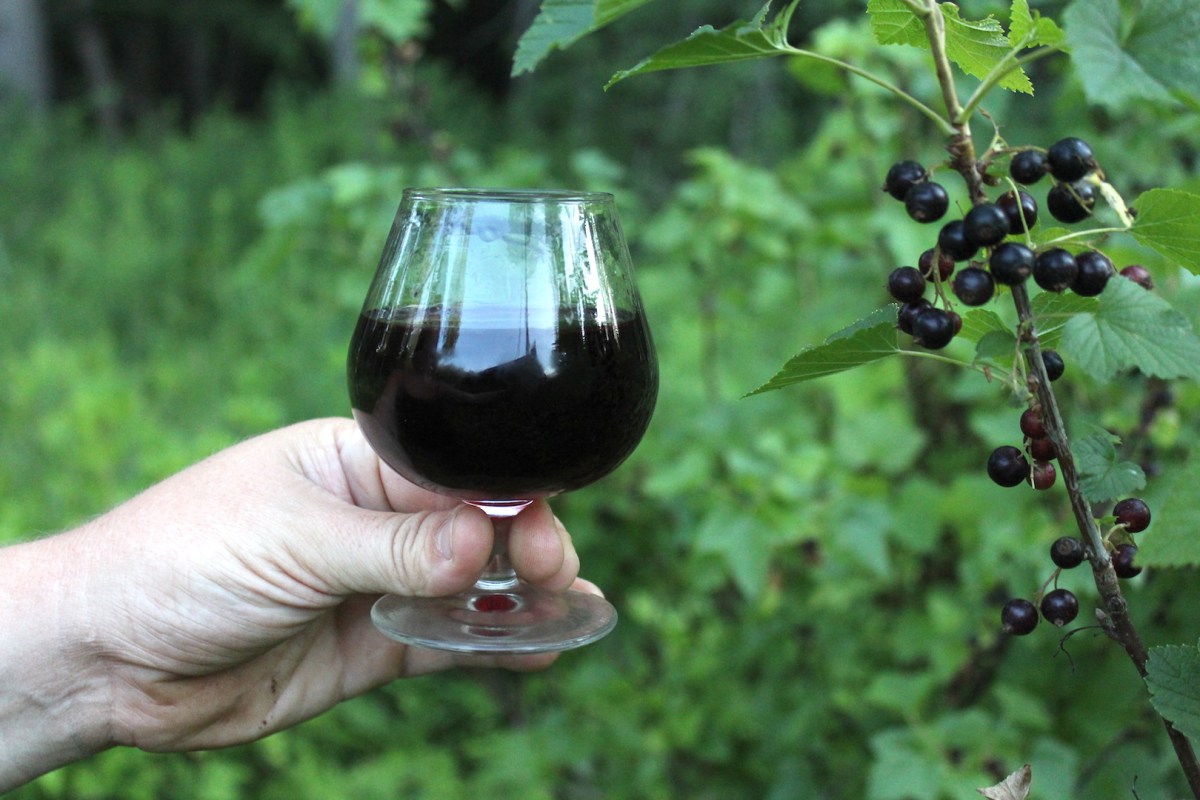 Cassis Blackcurrant Liqueur: A Comprehensive Guide Cassis Blackcurrant Liqueur: A Comprehensive Guide