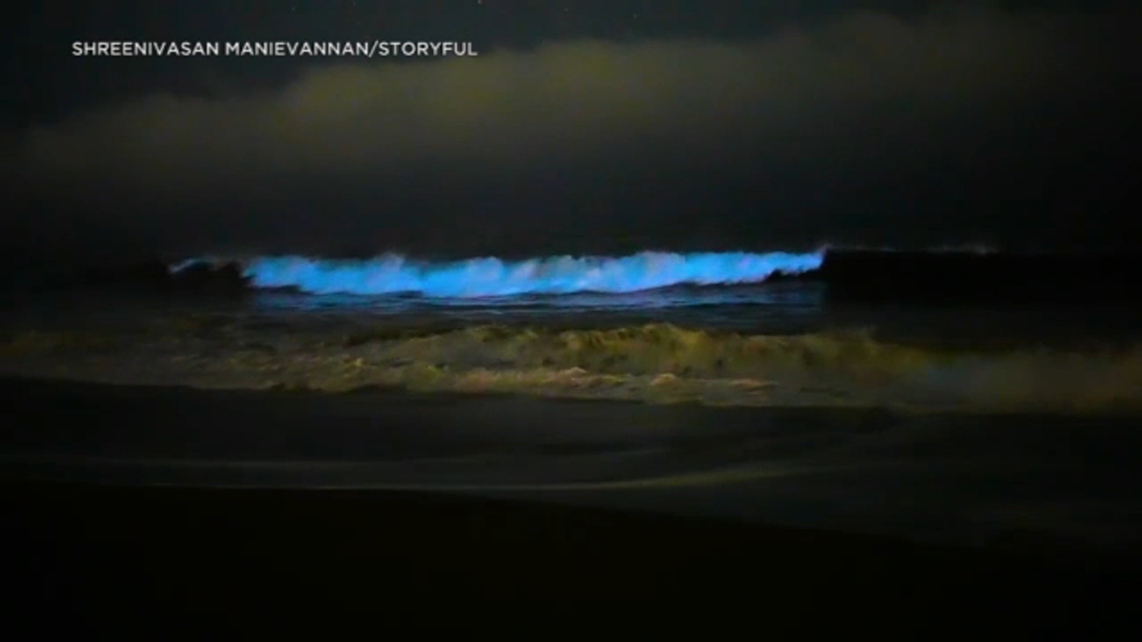 Catch Bioluminescent Waves: Spring And Fall SoCal Beaches Catch Bioluminescent Waves: Spring And Fall SoCal Beaches