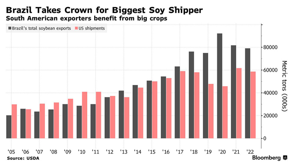 China's Soybean Shortage: Sinograin's Auction And Market Response China's Soybean Shortage: Sinograin's Auction And Market Response