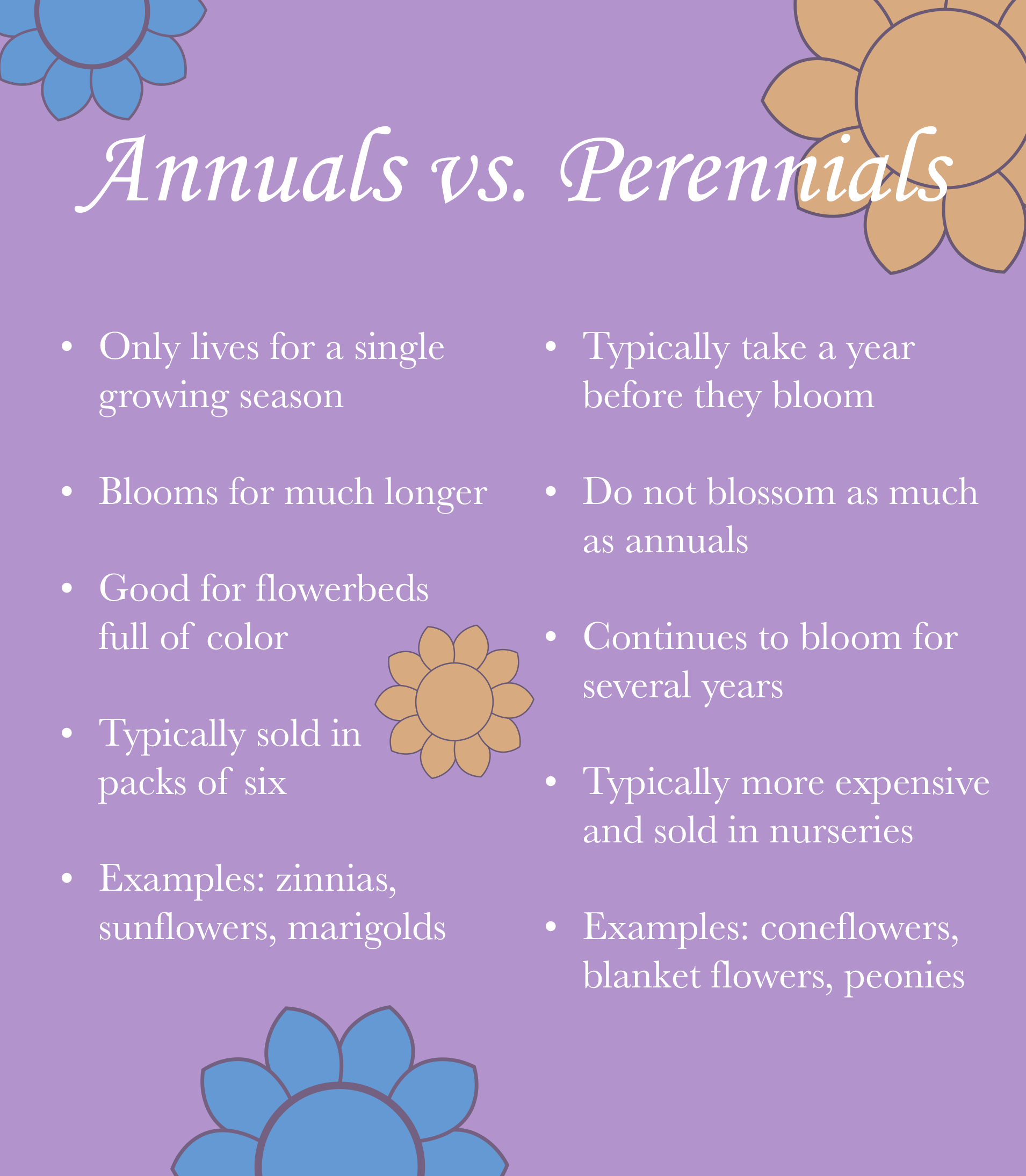 Choosing Between Annuals And Perennials: A Practical Comparison Choosing Between Annuals And Perennials: A Practical Comparison