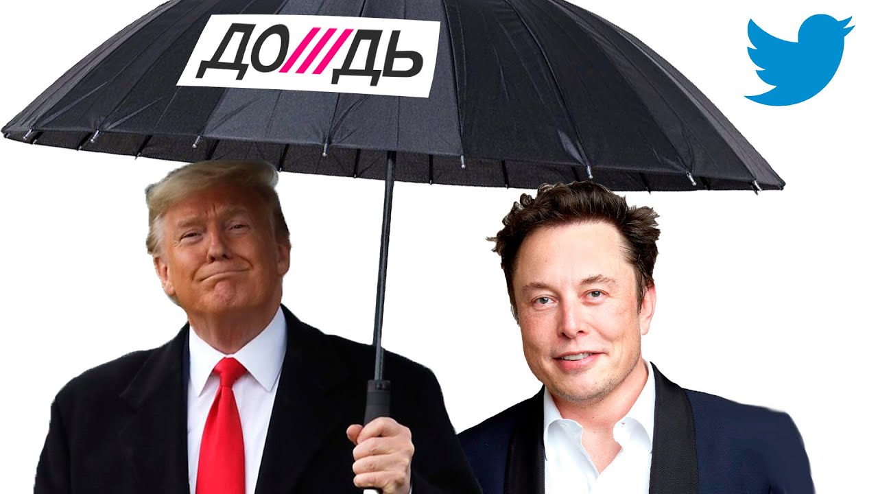 Что Сказал Кинг О Трампе И Маске? Что Сказал Кинг О Трампе И Маске?