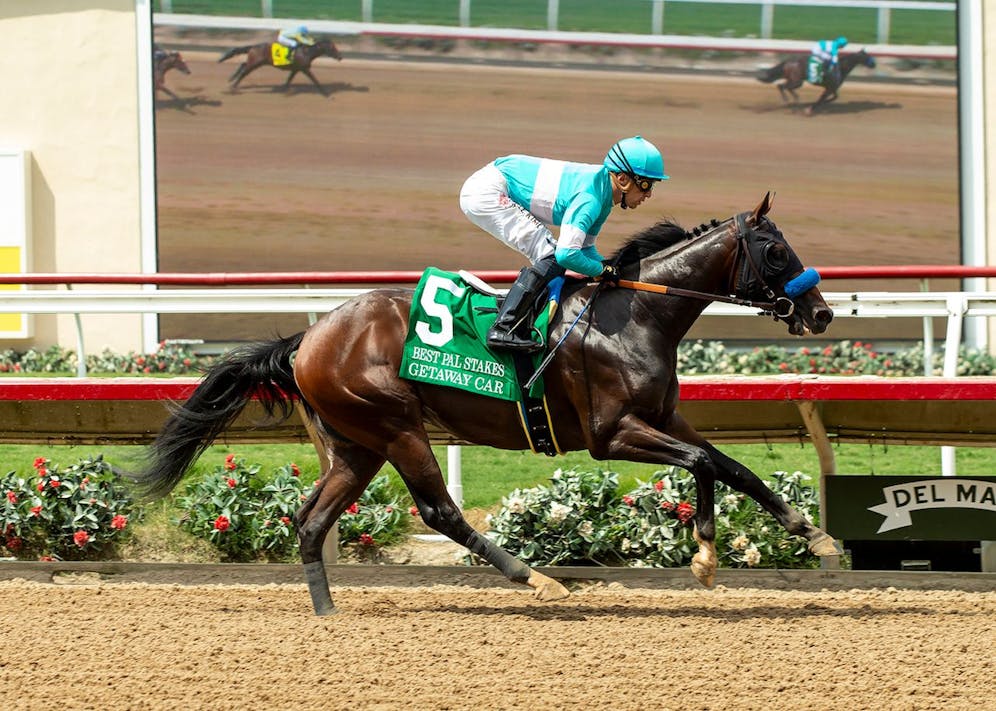 Colonial Downs To Host Virginia Derby: Stone's Announcement Imminent Colonial Downs To Host Virginia Derby: Stone's Announcement Imminent