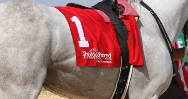 Colonial Downs' Virginia Derby: Official Announcement From Stone Colonial Downs' Virginia Derby: Official Announcement From Stone