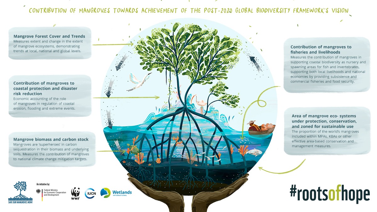 Combating The Killer Seaweed: Protecting Australia's Marine Biodiversity Combating The Killer Seaweed: Protecting Australia's Marine Biodiversity