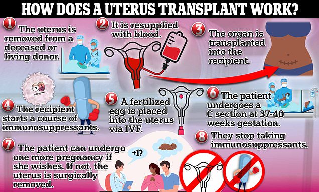 Community Activist Proposes Live Uterine Transplantation For Transgender Women Community Activist Proposes Live Uterine Transplantation For Transgender Women