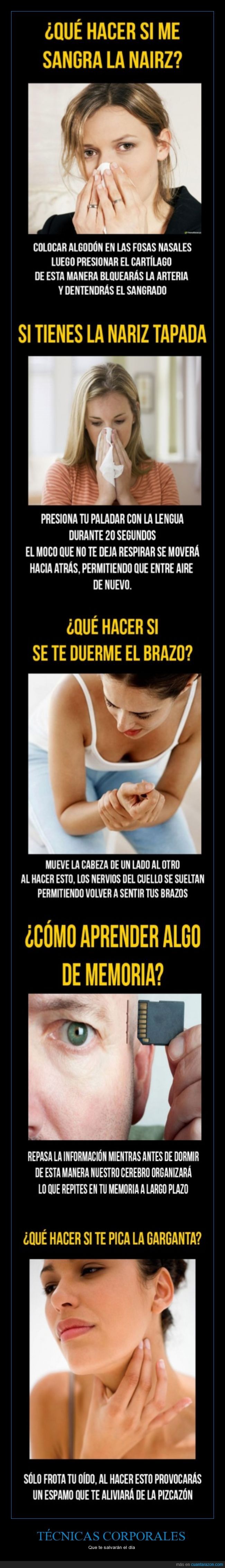 Cómo Evitar Las Acciones Imprudentes De Los Tontos Cómo Evitar Las Acciones Imprudentes De Los Tontos