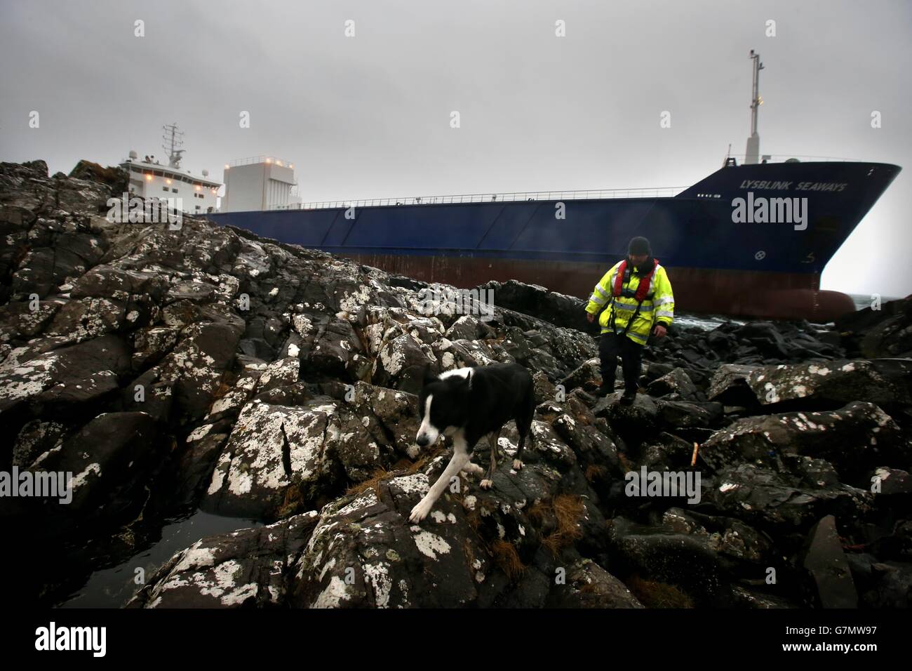 Container Ship Runs Aground On Man's Lawn: CNN Report Container Ship Runs Aground On Man's Lawn: CNN Report