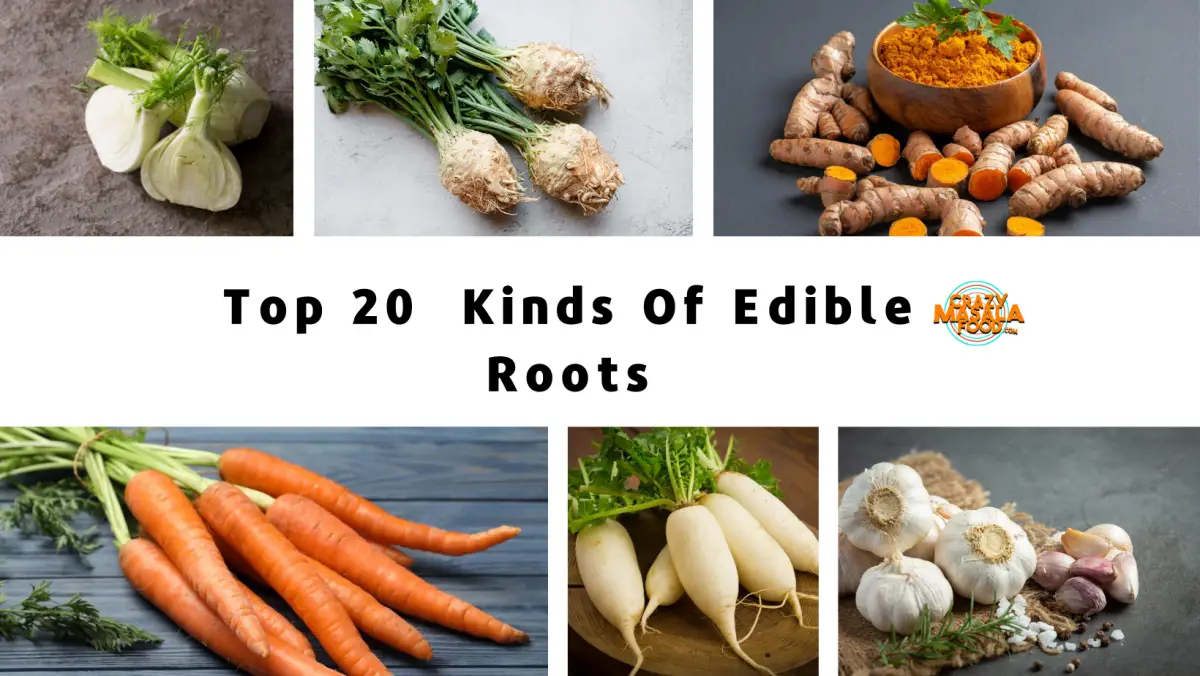 Country Diary: Foraging For A Carrot Relative With Edible Roots Country Diary: Foraging For A Carrot Relative With Edible Roots