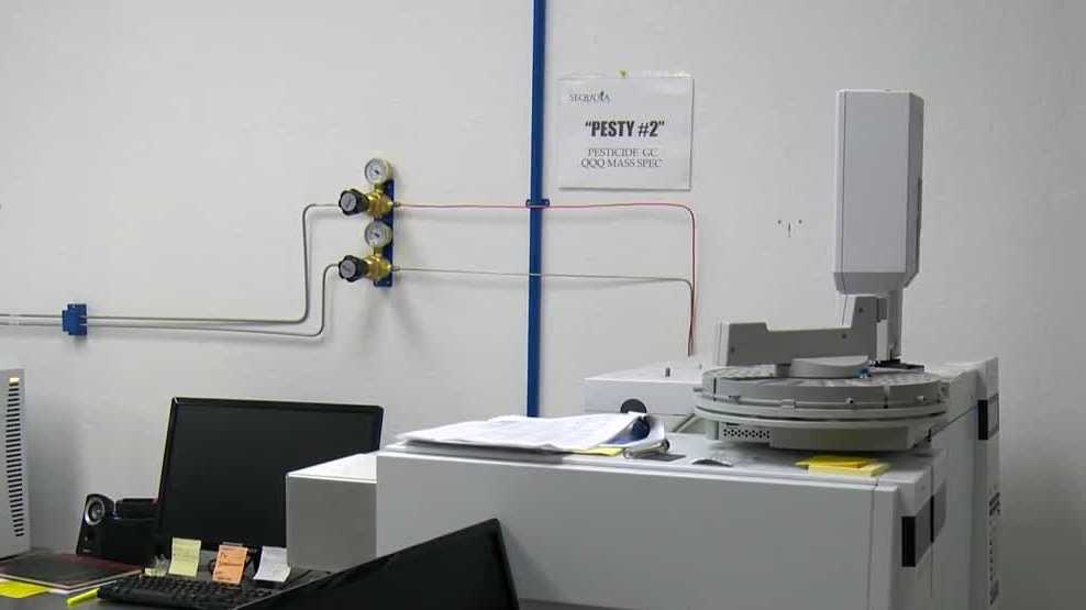 COVID-19 Pandemic: Lab Owner Admits To Falsifying Test Results COVID-19 Pandemic: Lab Owner Admits To Falsifying Test Results