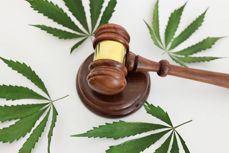 Current Georgia Hemp Laws: A Consumer's Guide To Legal Purchases Current Georgia Hemp Laws: A Consumer's Guide To Legal Purchases